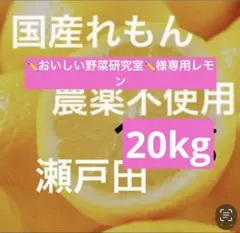 ✏おいしい野菜研究室✏様専用レモン20kg