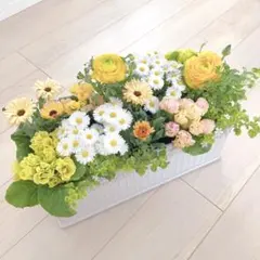 のんまま♬様専用　季節のお花たくさん♪春の寄せ植え*大きめ鉢＊