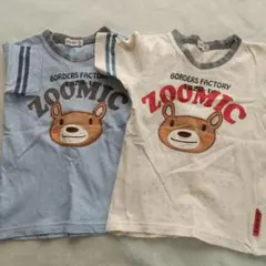 ZOOMIC クマ柄 Tシャツ 2枚セット