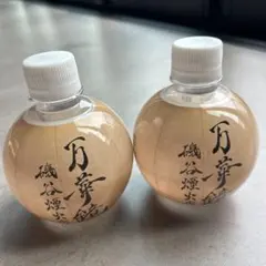 Item thumbnail for item e61ca638-b4e0-4134-a800-1649242c343a