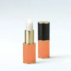 DRIES VAN NOTEN ドリス　ヴァン　ノッテン　リップ　口紅　タイガー dries van notenドリス ヴァン ノッテン リップ 口紅 タイガー - メルカリ