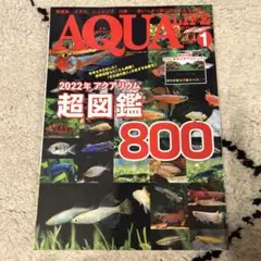 月刊アクアライフ 2022年1月号　アクアリウム超図鑑800