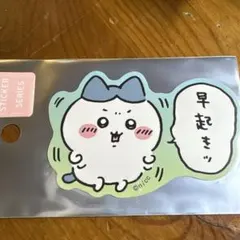 ao様 リクエスト 2点 まとめ商品