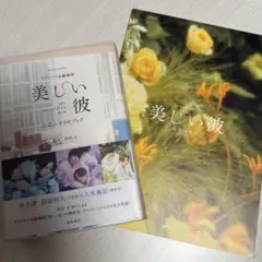 美しい彼 公式シナリオブック+劇場版パンフレット