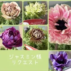 ジャスミン様　リクエスト　おまとめ6点