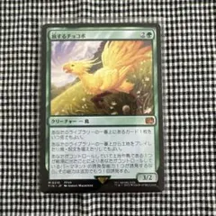 MTG 旅するチョコボ 日本語版のサムネイル