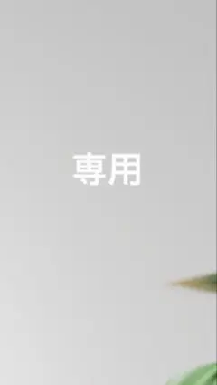 専用