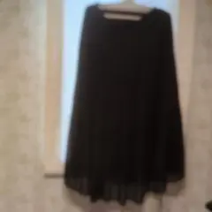 黒のプリーツスカート