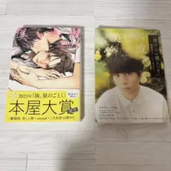 美しい彼 憎らしい彼 凪良ゆう 小説 2巻セット