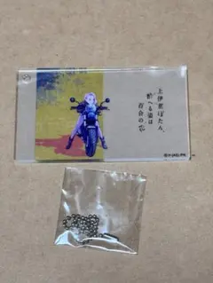 上伊那ぼたん アイキャッチ アクリルブロックチャーム やえか