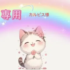 カルピス様専用ページ