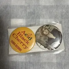 出品終了間近！Acid Black Cherry グッズ Acid Black Cherry グッズセット