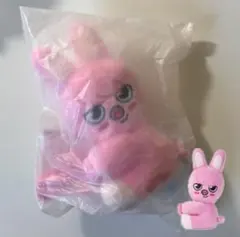2026年最新】straykids チャンビン ぬいぐるみの人気アイテム - メルカリ