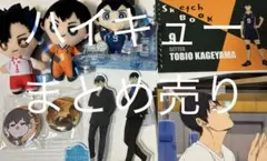 ハイキュー　影山飛雄　黒尾鉄朗　チビぬい　缶バッジ　コースター　アクスタ