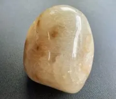 Item thumbnail for item 64810ec5-8309-4d6d-b55d-f422248c99d6