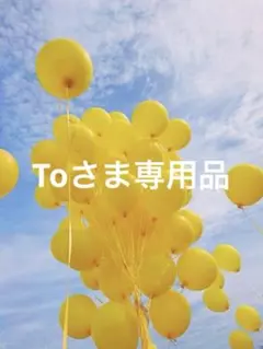 Toさま専用品