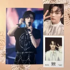 リノ dominATE Blu-ray FANS 特典 ポストカード トレカ