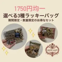 【1750円均一】中身が選べる3種ラッキーバッグ！数量限定でお得なセット❤︎