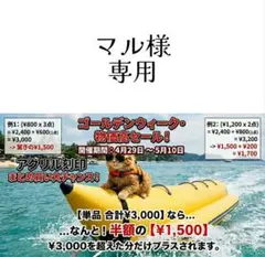 マル様専用 詳しい流れは商品説明文をお読みください