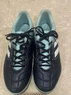 Item thumbnail for item 95db302f-7f11-4ef0-9b5f-109172adcf74