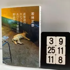 表参道のセレブ犬とカバーニャ要塞の野良犬 3-9*25.11*8