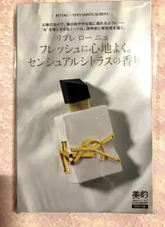 美的6月号【イヴ・サンローラン】リブレローニュ　新品未使用