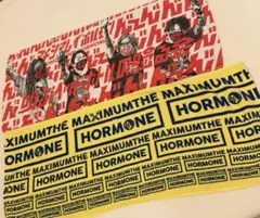 マキシマム ザ ホルモン タオルセットのサムネイル