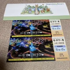 なばなの里 イルミネーション 入村券2枚のサムネイル