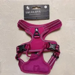 Item thumbnail for item 6f6cfc09-0064-4b1f-916a-ef22666d90c4