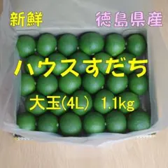 徳島県産 ハウスすだち（大玉 4Lサイズ 1.1kg）のサムネイル
