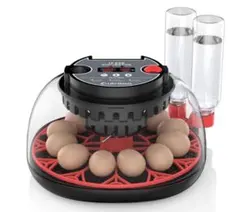 Item thumbnail for item 220d1a1f-33e2-4f5f-9374-afe5eeddcc8e