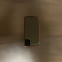 rakuten mini クリムゾンレッド　（ジャンク扱い）