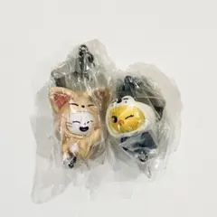 2025年最新】SKZOO ぬいぐるみ ジニレットの人気アイテム - メルカリ