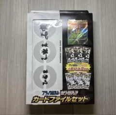 ブラックボルト ホワイトフレア カードファイルセット