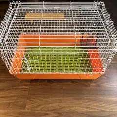 Item thumbnail for item 0804f8dc-10cc-4cad-9d34-bae8730d17ad