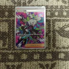 ホミカの演奏 SAR