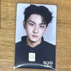 韓国限定 ENHYPEN NAMANEカード ジョンウォン