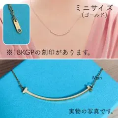 Item thumbnail for item a1846d4d-39e4-427d-9bcd-2bf0fff02839