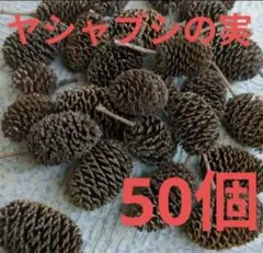 Item thumbnail for item ba03083b-247f-4d7d-9b93-c6347b8e9a88