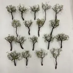 Item thumbnail for item a1ac8821-9e6c-4cbf-8e77-09234b260fb8