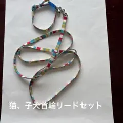 Item thumbnail for item 56f76dd9-f41d-4f7d-8755-5148110cbcaf