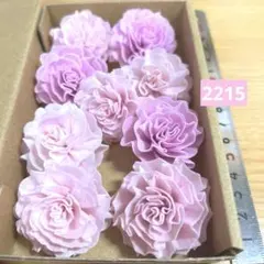 ソラフラワー　2215