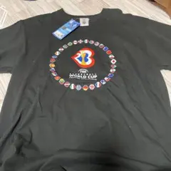 Item thumbnail for item ddde6954-d288-4267-9521-f31d88cc29dd