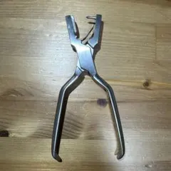 Item thumbnail for item a59a8e76-983f-4a28-a0f0-92d431d6f207