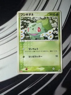 さ*ち様 フシギダネ PROMO DPt-Pプロモカード 030/051 フシギダネ PROMO DPt-Pプロモカード 030/051 ポケモンセンター - メルカリ