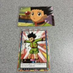 HUNTER×HUNTER カード ゴン 2枚セット