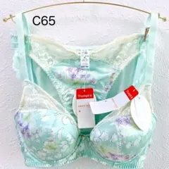 トリンプ　ドレス032 ブラ＆ショーツセット C65セット