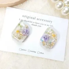 Item thumbnail for item 51c4c151-5163-4004-a015-2ea6570db810