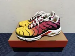 ⑨NIKE AIR MAX PLUS OGグラデーション