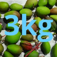 中 5Kg沖縄県産摘果マンゴー30g～日々肥大 (お漬物用) - メルカリ